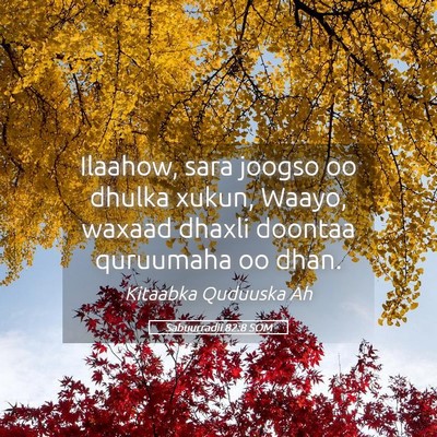 Picture 05 - Sabuurradii 82:8 SOM - Ilaahow, sara joogso oo dhulka xukun, Waayo, - Bible Verse Picture