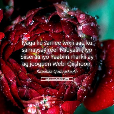 Picture 05 - Sabuurradii 83:9 SOM - Iyaga ku samee wixii aad ku samaysay reer - Bible Verse Picture