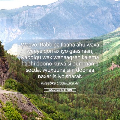 Picture 05 - Sabuurradii 84:11 SOM - Waayo, Rabbiga Ilaaha ahu waxa weeye qorrax iyo - Bible Verse Picture