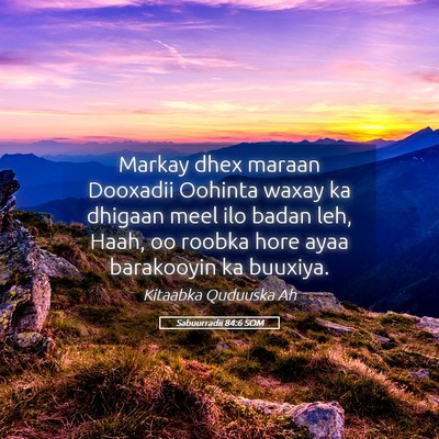Picture 05 - Sabuurradii 84:6 SOM - Markay dhex maraan Dooxadii Oohinta waxay ka - Bible Verse Picture