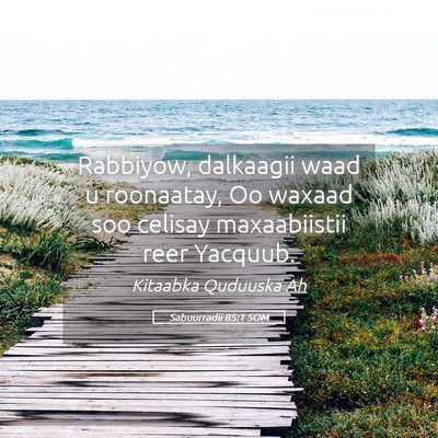 Picture 05 - Sabuurradii 85:1 SOM - Rabbiyow, dalkaagii waad u roonaatay, Oo waxaad - Bible Verse Picture