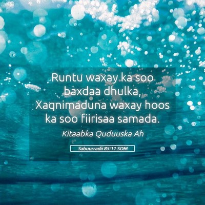 Picture 05 - Sabuurradii 85:11 SOM - Runtu waxay ka soo baxdaa dhulka, Xaqnimaduna - Bible Verse Picture