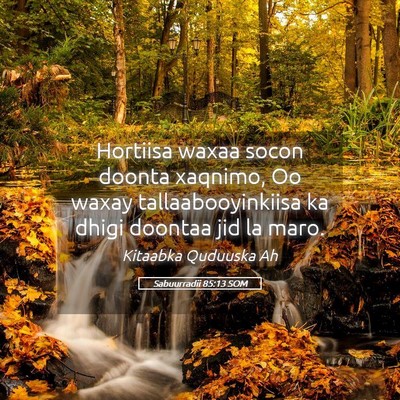 Picture 05 - Sabuurradii 85:13 SOM - Hortiisa waxaa socon doonta xaqnimo, Oo waxay - Bible Verse Picture
