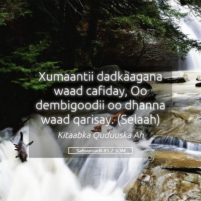 Picture 05 - Sabuurradii 85:2 SOM - Xumaantii dadkaagana waad cafiday, Oo dembigoodii - Bible Verse Picture