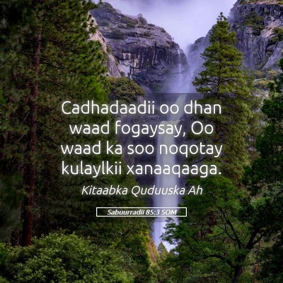 Picture 05 - Sabuurradii 85:3 SOM - Cadhadaadii oo dhan waad fogaysay, Oo waad ka soo - Bible Verse Picture