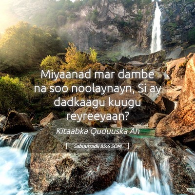 Picture 05 - Sabuurradii 85:6 SOM - Miyaanad mar dambe na soo noolaynayn, Si ay - Bible Verse Picture