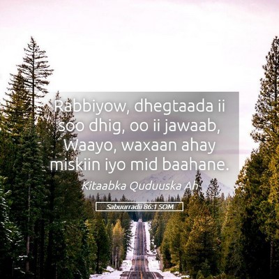 Picture 05 - Sabuurradii 86:1 SOM - Rabbiyow, dhegtaada ii soo dhig, oo ii jawaab, - Bible Verse Picture