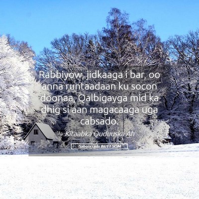 Picture 05 - Sabuurradii 86:11 SOM - Rabbiyow, jidkaaga i bar, oo anna runtaadaan ku - Bible Verse Picture
