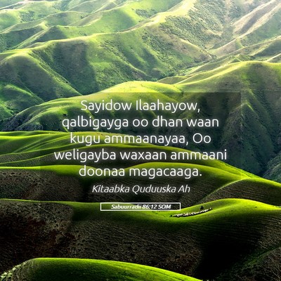Picture 05 - Sabuurradii 86:12 SOM - Sayidow Ilaahayow, qalbigayga oo dhan waan kugu - Bible Verse Picture