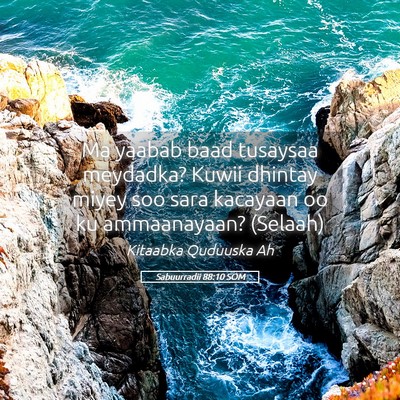 Picture 05 - Sabuurradii 88:10 SOM - Ma yaabab baad tusaysaa meydadka? Kuwii dhintay - Bible Verse Picture