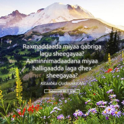 Picture 05 - Sabuurradii 88:11 SOM - Raxmaddaada miyaa qabriga lagu sheegayaa? - Bible Verse Picture