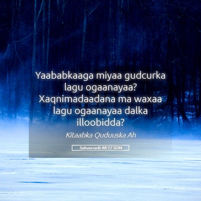 Picture 05 - Sabuurradii 88:12 SOM - Yaababkaaga miyaa gudcurka lagu ogaanayaa? - Bible Verse Picture