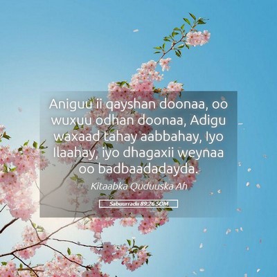 Picture 05 - Sabuurradii 89:26 SOM - Aniguu ii qayshan doonaa, oo wuxuu odhan doonaa, - Bible Verse Picture