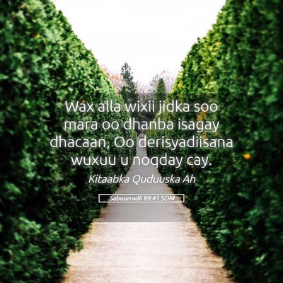 Picture 05 - Sabuurradii 89:41 SOM - Wax alla wixii jidka soo mara oo dhanba isagay - Bible Verse Picture