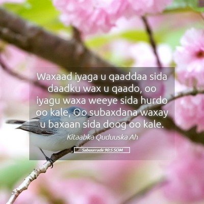 Picture 05 - Sabuurradii 90:5 SOM - Waxaad iyaga u qaaddaa sida daadku wax u qaado, - Bible Verse Picture