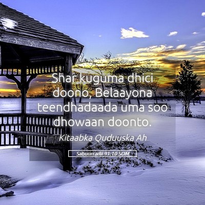 Picture 05 - Sabuurradii 91:10 SOM - Shar kuguma dhici doono, Belaayona teendhadaada - Bible Verse Picture