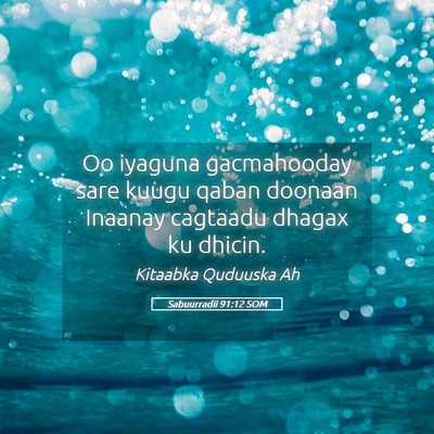 Picture 05 - Sabuurradii 91:12 SOM - Oo iyaguna gacmahooday sare kuugu qaban doonaan - Bible Verse Picture