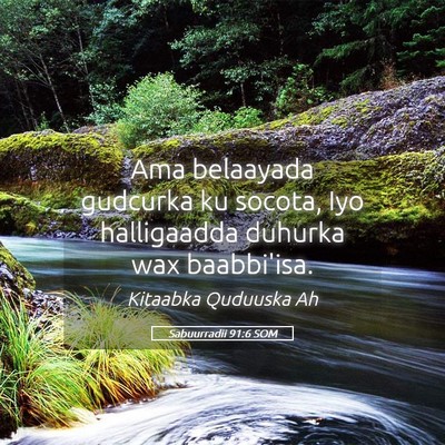 Picture 05 - Sabuurradii 91:6 SOM - Ama belaayada gudcurka ku socota, Iyo halligaadda - Bible Verse Picture