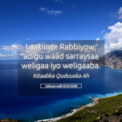 Picture 05 - Sabuurradii 92:8 SOM - Laakiinse Rabbiyow, adigu waad sarraysaa weligaa - Bible Verse Picture