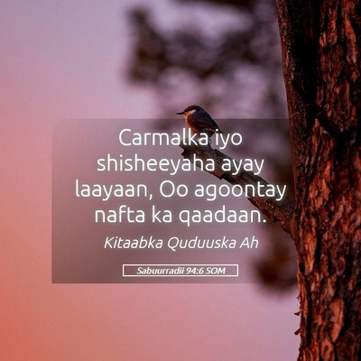 Picture 05 - Sabuurradii 94:6 SOM - Carmalka iyo shisheeyaha ayay laayaan, Oo - Bible Verse Picture
