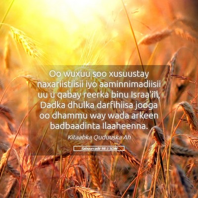 Picture 05 - Sabuurradii 98:3 SOM - Oo wuxuu soo xusuustay naxariistiisii iyo - Bible Verse Picture