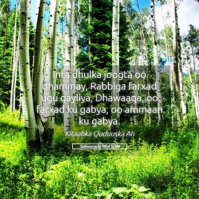 Picture 05 - Sabuurradii 98:4 SOM - Inta dhulka joogta oo dhammay, Rabbiga farxad ugu - Bible Verse Picture