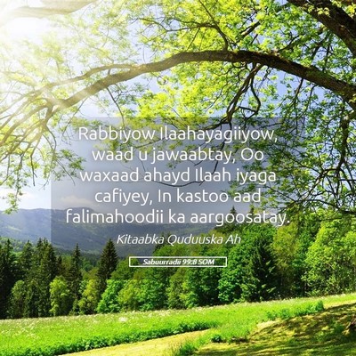 Picture 05 - Sabuurradii 99:8 SOM - Rabbiyow Ilaahayagiiyow, waad u jawaabtay, Oo - Bible Verse Picture