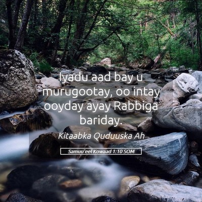 Picture 05 - Samuu'eel Kowaad 1:10 SOM - Iyadu aad bay u murugootay, oo intay ooyday ayay - Bible Verse Picture