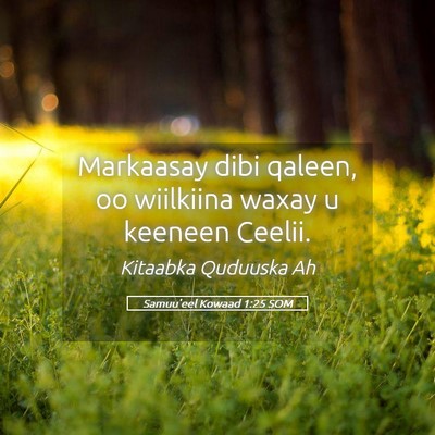 Picture 05 - Samuu'eel Kowaad 1:25 SOM - Markaasay dibi qaleen, oo wiilkiina waxay u - Bible Verse Picture