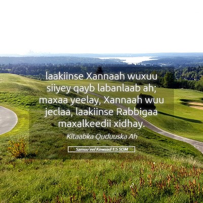 Picture 05 - Samuu'eel Kowaad 1:5 SOM - laakiinse Xannaah wuxuu siiyey qayb labanlaab ah; - Bible Verse Picture