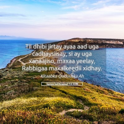 Picture 05 - Samuu'eel Kowaad 1:6 SOM - Tii dhibi jirtay ayaa aad uga cadhaysiisay, si ay - Bible Verse Picture