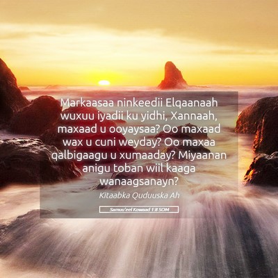 Picture 05 - Samuu'eel Kowaad 1:8 SOM - Markaasaa ninkeedii Elqaanaah wuxuu iyadii ku - Bible Verse Picture
