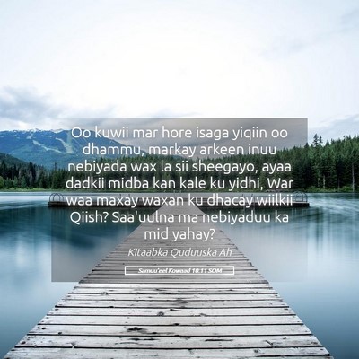 Picture 05 - Samuu'eel Kowaad 10:11 SOM - Oo kuwii mar hore isaga yiqiin oo dhammu, markay - Bible Verse Picture