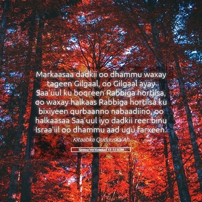 Picture 05 - Samuu'eel Kowaad 11:15 SOM - Markaasaa dadkii oo dhammu waxay tageen Gilgaal, - Bible Verse Picture