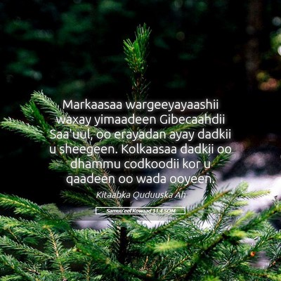Picture 05 - Samuu'eel Kowaad 11:4 SOM - Markaasaa wargeeyayaashii waxay yimaadeen - Bible Verse Picture