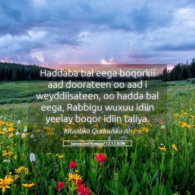 Picture 05 - Samuu'eel Kowaad 12:13 SOM - Haddaba bal eega boqorkii aad doorateen oo aad i - Bible Verse Picture