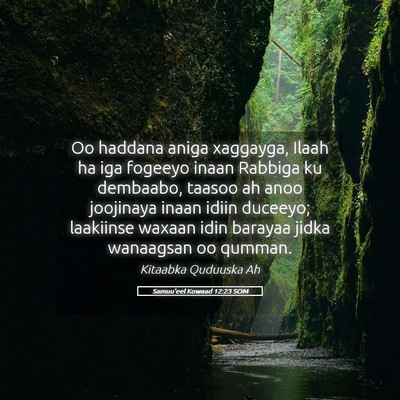 Picture 05 - Samuu'eel Kowaad 12:23 SOM - Oo haddana aniga xaggayga, Ilaah ha iga fogeeyo - Bible Verse Picture