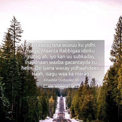 Picture 05 - Samuu'eel Kowaad 12:5 SOM - Markaasuu isna wuxuu ku yidhi iyaga, Maanta - Bible Verse Picture