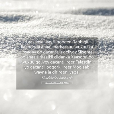 Picture 05 - Samuu'eel Kowaad 12:9 SOM - Laakiinse way illoobeen Rabbigii Ilaahooda ahaa, - Bible Verse Picture
