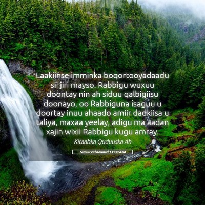 Picture 05 - Samuu'eel Kowaad 13:14 SOM - Laakiinse imminka boqortooyadaadu sii jiri mayso. - Bible Verse Picture