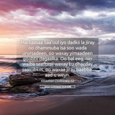 Picture 05 - Samuu'eel Kowaad 14:20 SOM - Markaasaa Saa'uul iyo dadkii la jiray oo dhammuba - Bible Verse Picture