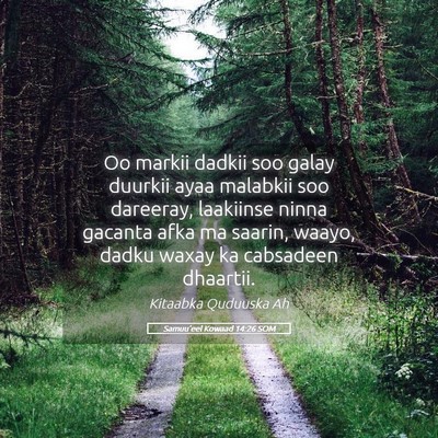 Picture 05 - Samuu'eel Kowaad 14:26 SOM - Oo markii dadkii soo galay duurkii ayaa malabkii - Bible Verse Picture