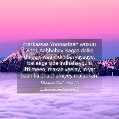 Picture 05 - Samuu'eel Kowaad 14:29 SOM - Markaasaa Yoonaataan wuxuu yidhi, Aabbahay isagaa - Bible Verse Picture