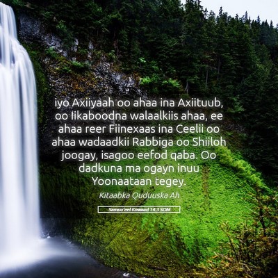 Picture 05 - Samuu'eel Kowaad 14:3 SOM - iyo Axiiyaah oo ahaa ina Axiituub, oo Iikaboodna - Bible Verse Picture