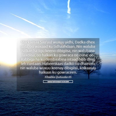 Picture 05 - Samuu'eel Kowaad 14:34 SOM - Markaasaa Saa'uul wuxuu yidhi, Dadka dhex gala, - Bible Verse Picture