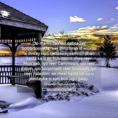 Picture 05 - Samuu'eel Kowaad 14:47 SOM - Oo markii Saa'uul qabsaday boqortooyada reer binu - Bible Verse Picture