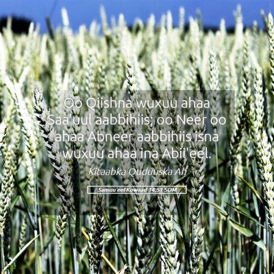 Picture 05 - Samuu'eel Kowaad 14:51 SOM - Oo Qiishna wuxuu ahaa Saa'uul aabbihiis; oo Neer - Bible Verse Picture