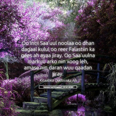 Picture 05 - Samuu'eel Kowaad 14:52 SOM - Oo intii Saa'uul noolaa oo dhan dagaal kulul oo - Bible Verse Picture