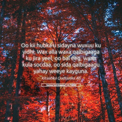 Picture 05 - Samuu'eel Kowaad 14:7 SOM - Oo kii hubka u sidayna wuxuu ku yidhi, Wax alla - Bible Verse Picture