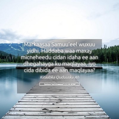 Picture 05 - Samuu'eel Kowaad 15:14 SOM - Markaasaa Samuu'eel wuxuu yidhi, Haddaba waa - Bible Verse Picture